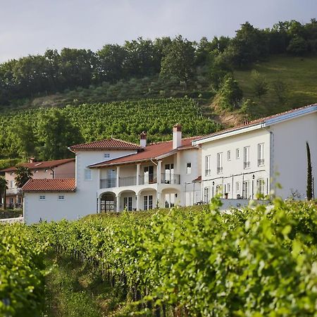 Peterc Vineyard Estate Bed & Breakfast Kojsko Екстериор снимка