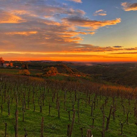Peterc Vineyard Estate Bed & Breakfast Kojsko Екстериор снимка