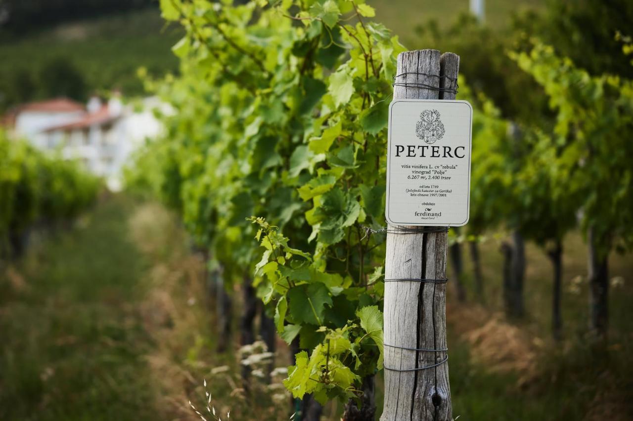 Peterc Vineyard Estate Bed & Breakfast Kojsko Екстериор снимка