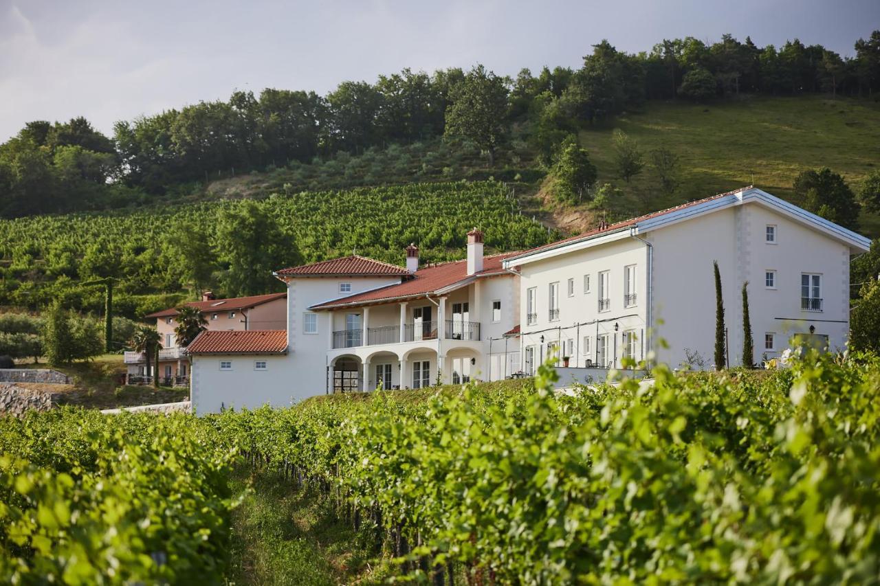Peterc Vineyard Estate Bed & Breakfast Kojsko Екстериор снимка