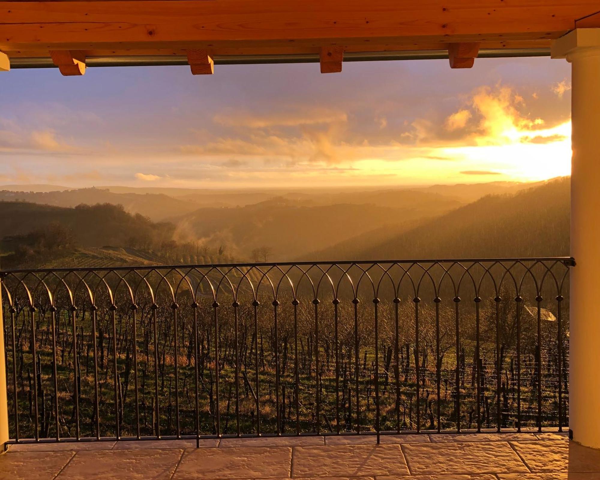 Peterc Vineyard Estate Bed & Breakfast Kojsko Екстериор снимка