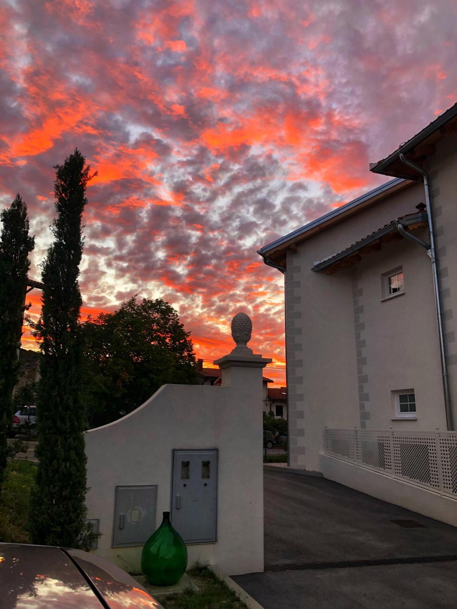 Peterc Vineyard Estate Bed & Breakfast Kojsko Екстериор снимка